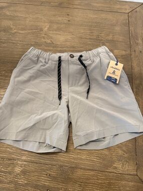 Chubbies Light Gray Casual Drawstring Shorts